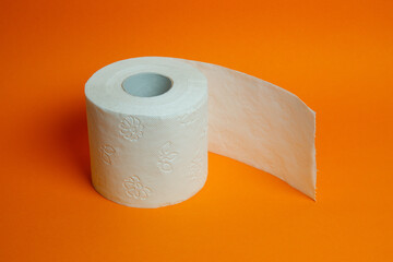 roll of toilet paper