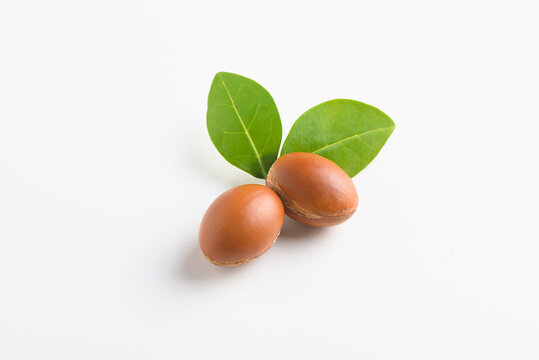 Argan nuts with fresh leave