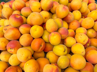 organic farmers market. Fresh apricot.