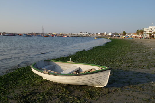 boats on the beach