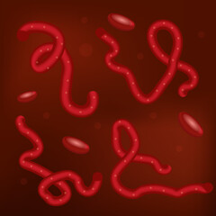 Ebola virus in blood set 3D, realistic style. Microorganism macro view. Vector illustration