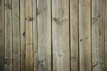Fototapeta premium old wood texture