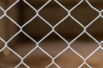 Fototapeta premium steel wire net fence
