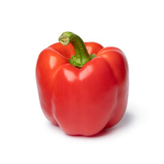 Single fresh red bell pepper