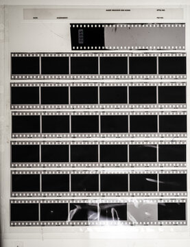 Seven long and blank 35mm filmstrips on white plastic light board behind protection foil.