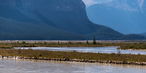 nature sceneries inside Jasper National Park, Alberta, Canada