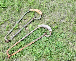 old hand saws on garden grass  gardening background 