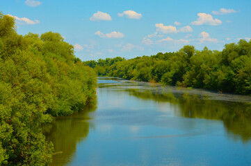 Fototapeta na wymiar river, blue sky, white clouds and green trees. nature in summer.