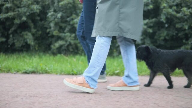 Black dog walking behind two women in a park. The dog is focused on people. The dog is black griffon belge.