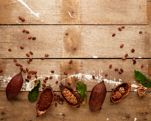 Cocoa ingredients on wooden