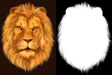 Lion head hand drawn digital painting with isolated alpha channel mask