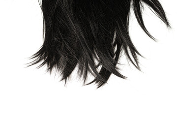 Black hair tips isolated on white.