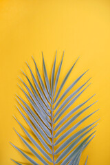 Decorative palm branch on yellow background. Summer, tropical concept. Top view, copy space, flat lay, vertical
