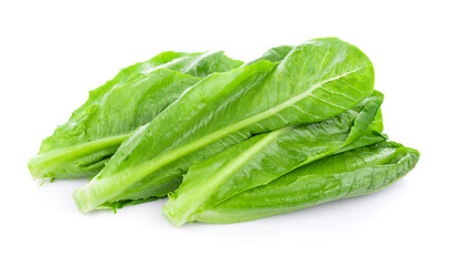 fresh cos lettuce isolated on white background