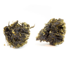 Isolated photo of Cannabis 