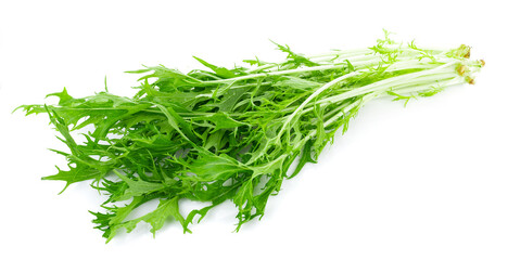 Mizuna lettuce isolated Japanese Mustard, vegetable salad for good health on white background