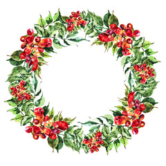  Red campsis on white background. Branch flowers painting in watercolor. Illustration wreath for decor.