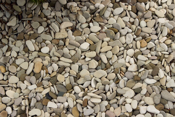 Brought sea pebbles, smooth flat multi-colored stones on a garden plot near a private house.