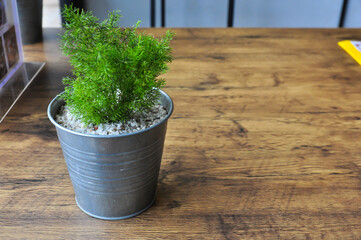 small plant pot on wooden table
