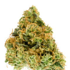 Isolated photo of cannabis