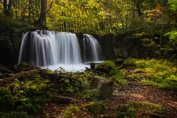 Fototapeta premium waterfall in the forest