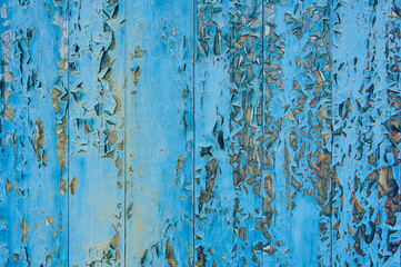 Vintage old blue wooden wall background. Material, retro.