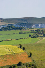 Naklejka premium Looking out over fields in the South Downs, on a sunny summers day