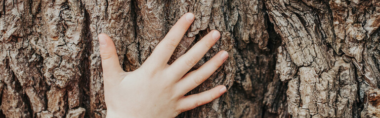 Closeup of child hand touching old tree. World Earth Day. Save the planet nature environment...