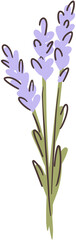 Lavender flower childish clipart isolated on white background.