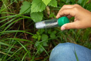 Geocaching in der Natur