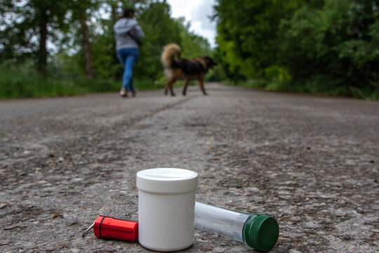 Geocaching in der Natur