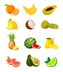 Set of exotic tropical fruits in a trendy flat style. Vegan food vector icons isolated on white background. Fresh whole, half, cut slice and piece of fruit. 