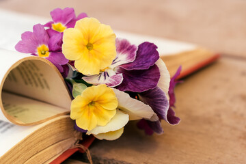 Bouquet of primroses and violets in an open old book close up.Nostalgic vintage background.Selective focus.