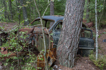 Old cars in Sscrapyard in forest in Ryd Sweden