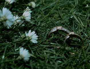 Obraz premium two wedding rings