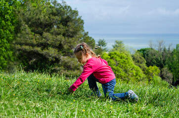 Fototapeta premium little girl picks flowers in the meadow on the mountain. beautiful seascape