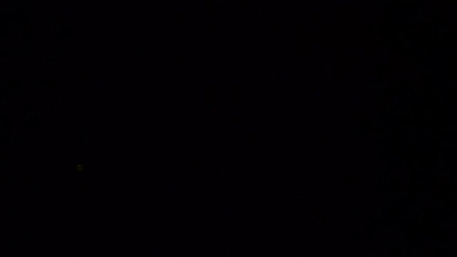 Light of fireflies flying on a summer night in Japan