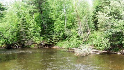 Wooded river landscape