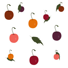 Isolated multicolored cherries with leaves on a white background. For decorative composition