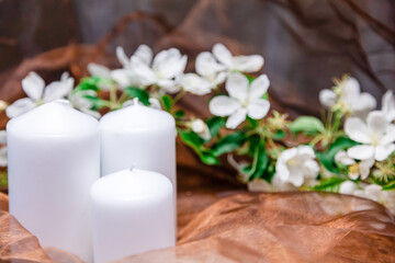 Still life, a branch of a blossoming apple tree, candles, Selective autofocus.