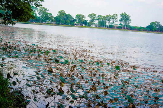 รูปภาพAhom เลือกดูภาพถ่ายสต็อก เวกเตอร์ และวิดีโอ261 Adobe Stock