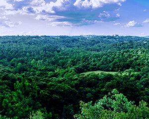 Fototapeta na wymiar Floresta do Parque Tanguá com uma bela vista
