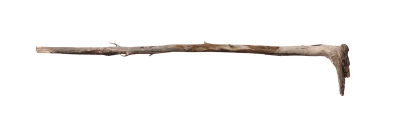 Fotobehang ancient shepherd wooden stick isolated on white background © serikbaib