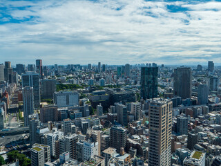Naklejka premium Tokyo city skyline
