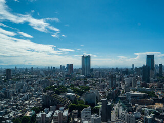Fototapeta premium Tokyo city skyline