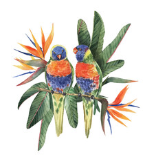 Print with beautiful watercolor parrots and tropical leaves. Tropics. Realistic tropical leaves. Tropical birds. - 357021576