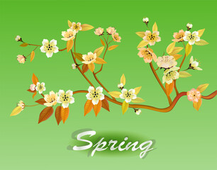 Vector illustration spring. All wakes up, flowers sakura blossom.Postcard 