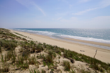 Fototapeta na wymiar sandy access in sand dune beach in le porge Ocean in France