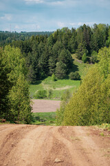 road in the forest