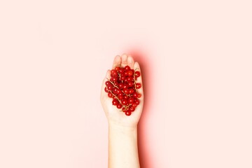 Ripe red currants in a hand on a pink background